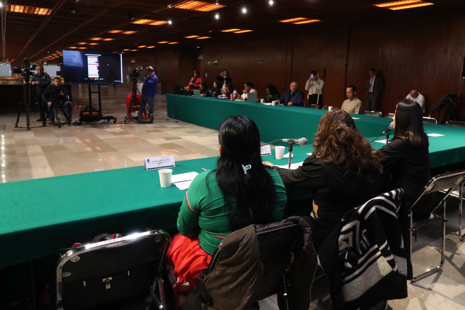Comisión de Pueblos Indígenas y Afromexicanos.