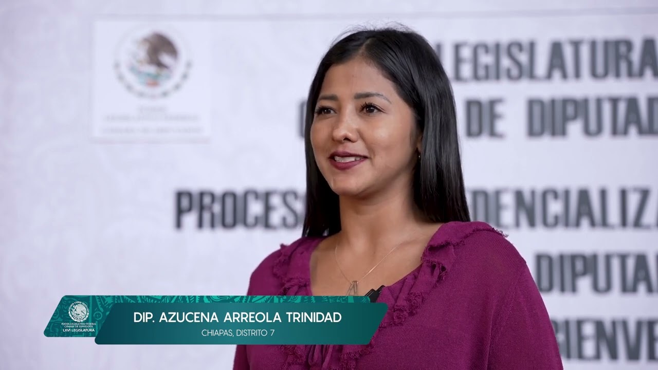Diputada Azucena Arreola Trinidad