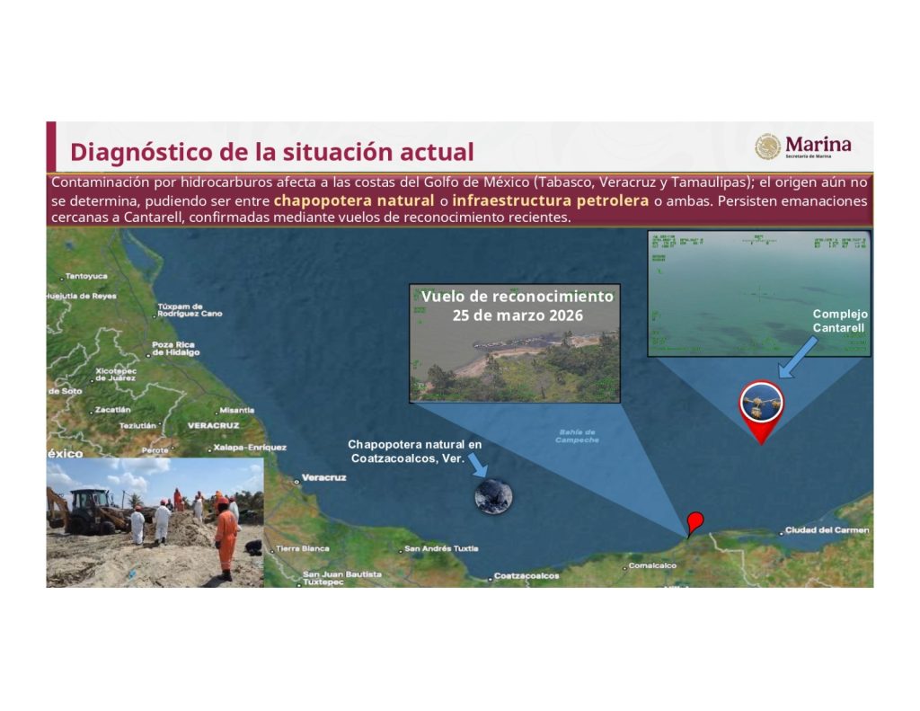 Imagen cortesia de la Secretaría de Medio Ambiente y Recursos Naturales. 