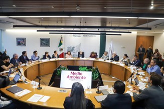 CDMX 12